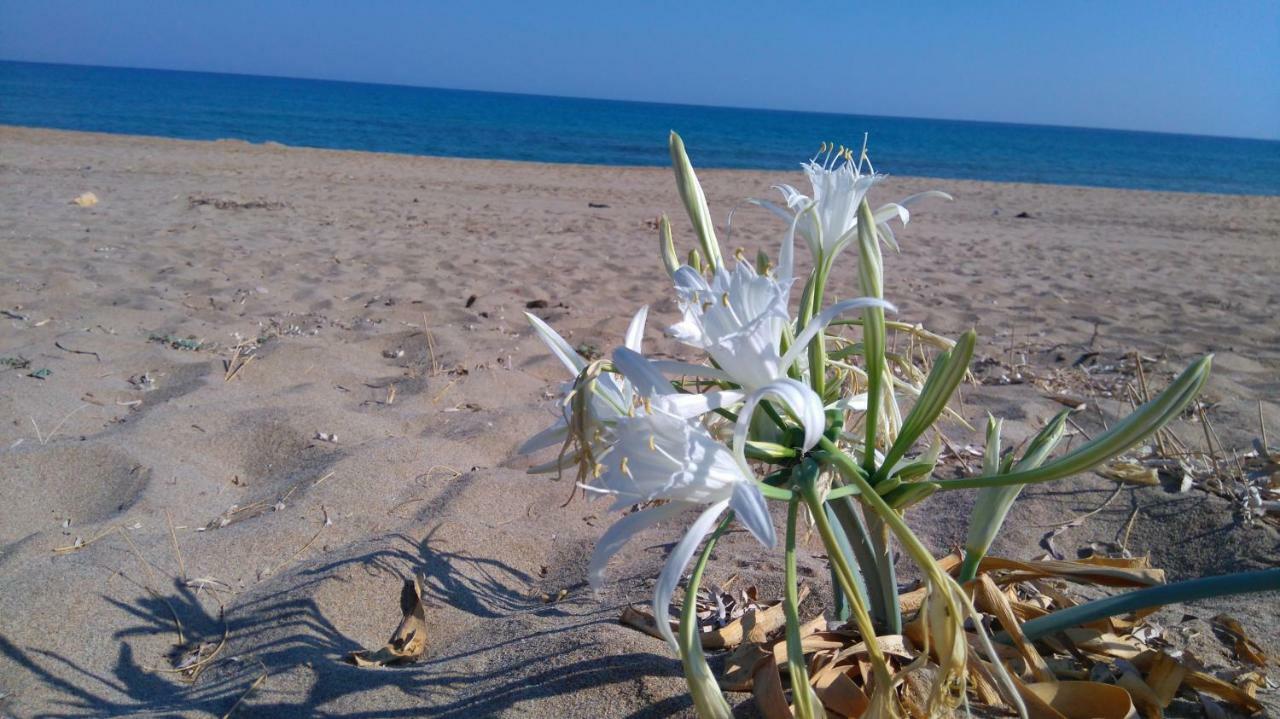 360 Panorama House - Gazing At Horizon And The Stars Of The Galaxy In The Night - Fresh Cool Breeze Most Of The Time - Just 7 Min From The Beach Kournás المظهر الخارجي الصورة
